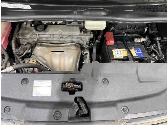 Wristwatch by Ted Baker London