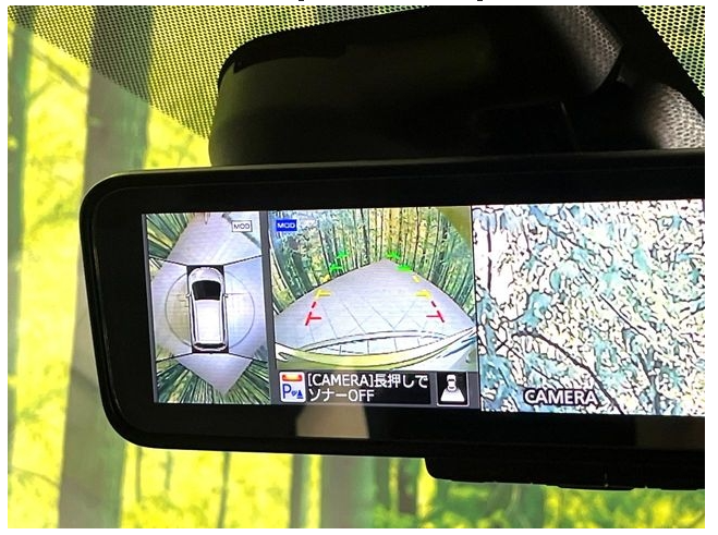 Wristwatch by Ted Baker London