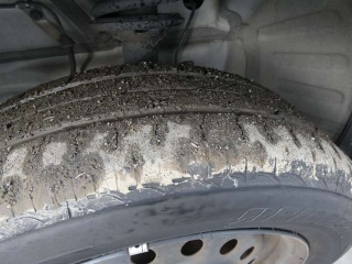 Wristwatch by Ted Baker London