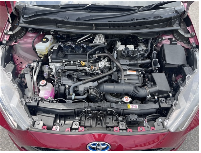 Wristwatch by Ted Baker London