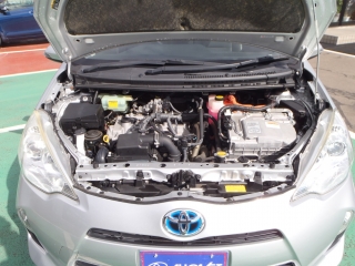 Wristwatch by Ted Baker London