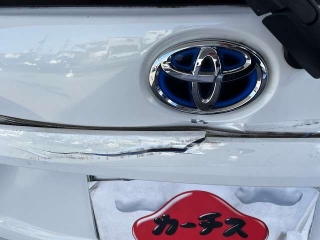 Wristwatch by Ted Baker London