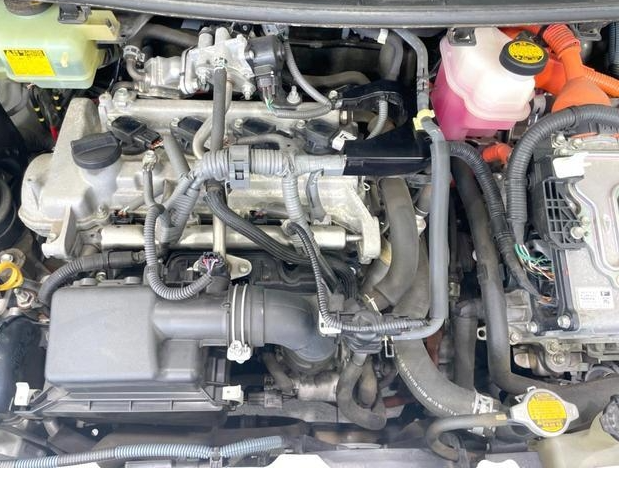 Wristwatch by Ted Baker London