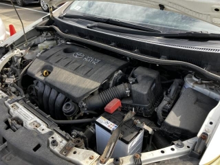 Wristwatch by Ted Baker London