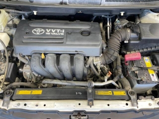 Wristwatch by Ted Baker London